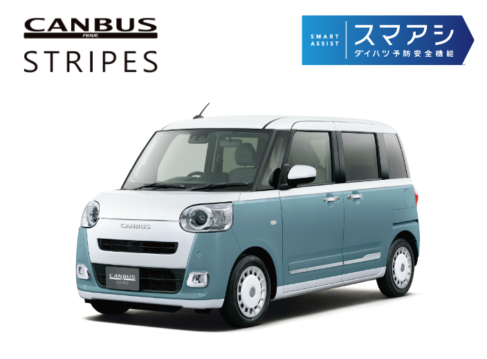 CANBUS MOVE STRIPES