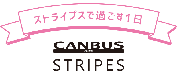 CANBUS STRIPES キャンバスストライプス